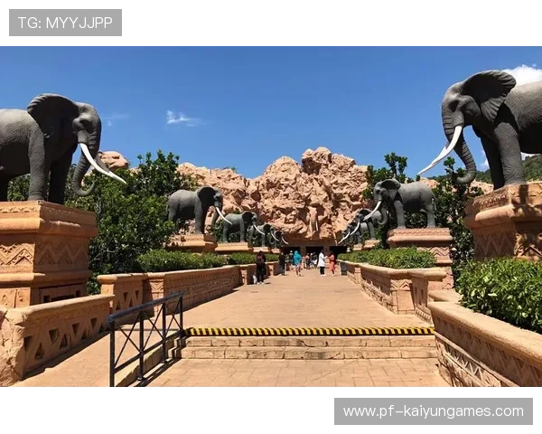 南非投球火力强劲，完封对手再取三分，南非擅长的球类运动