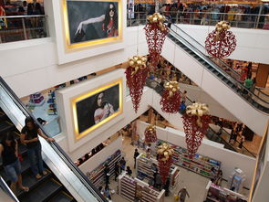 开云官网-迈向未来：Chinese Taipei团队在国际赛场的崭新发展，chinese of taipei